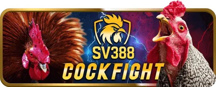 Video Slot sodo6789 nhà cái